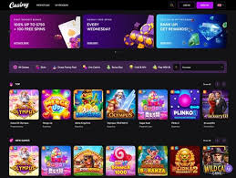 Discover the Benefits of Casiny Login