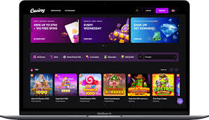 Discover the Benefits of Casiny Login