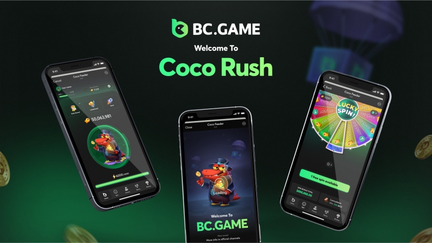 Experience the Excitement of Betting with Bet BC Game Hub