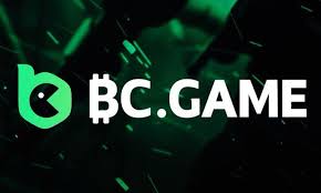 Experience the Excitement of Betting with Bet BC Game Hub