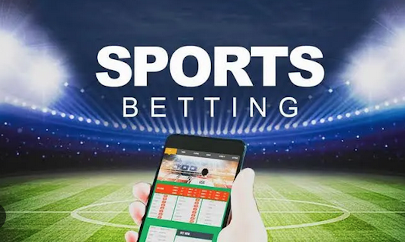 The Rise of Gursha Bet Transforming Online Betting Experience
