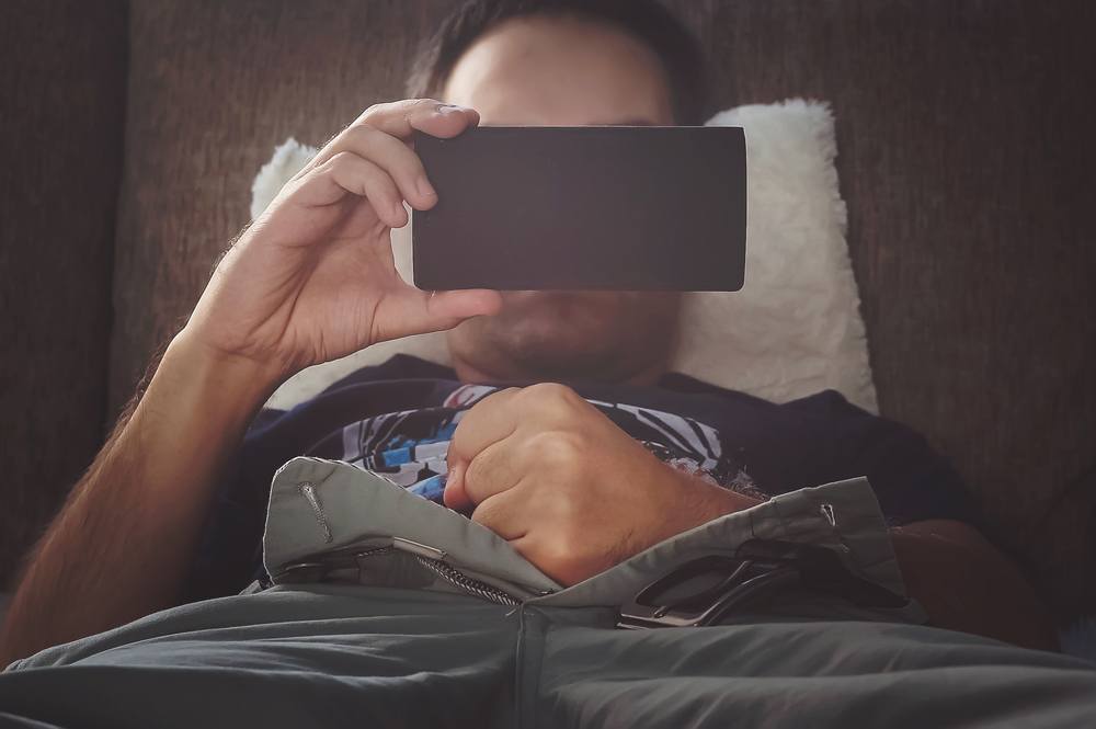 Just How Porn Lovers Would Adjust: The Increase of Alternatives