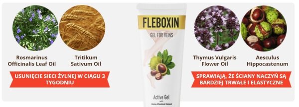 Discover fleboxin: apteka cena