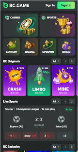Explore the Thrills of BC.Game Crypto Casino Platform